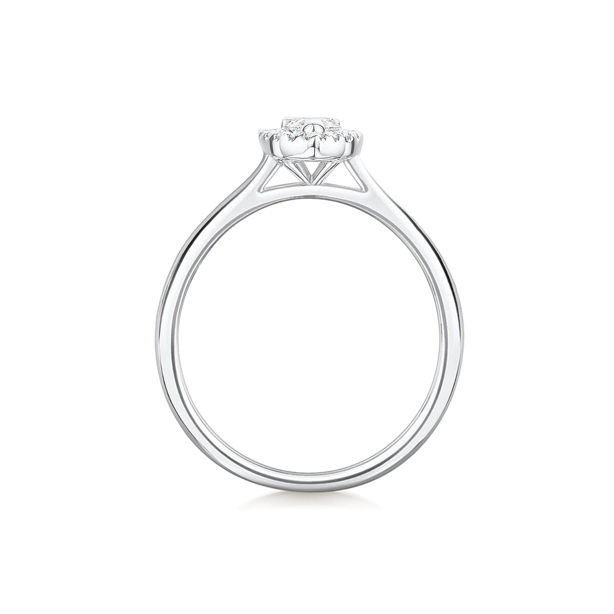 Stella Marquise • Platinum